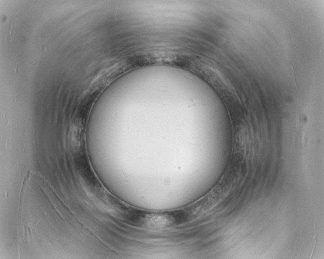 X0000088070218200705251410