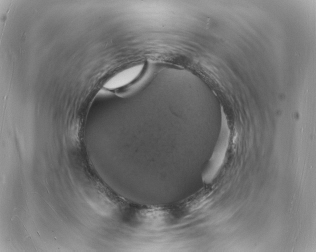 X0000088070219200705251410