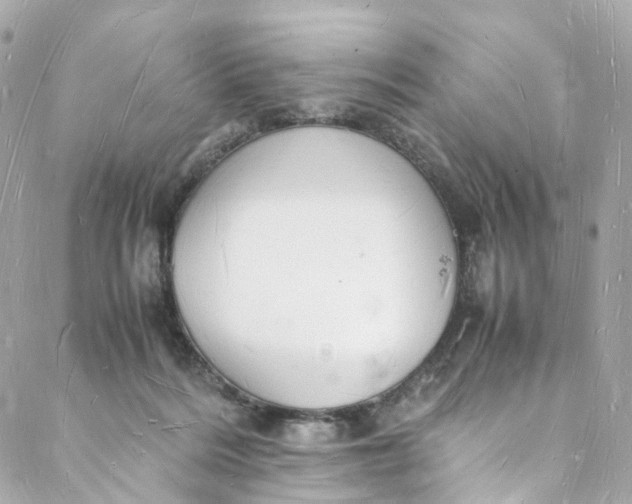 X0000088070220200705251410