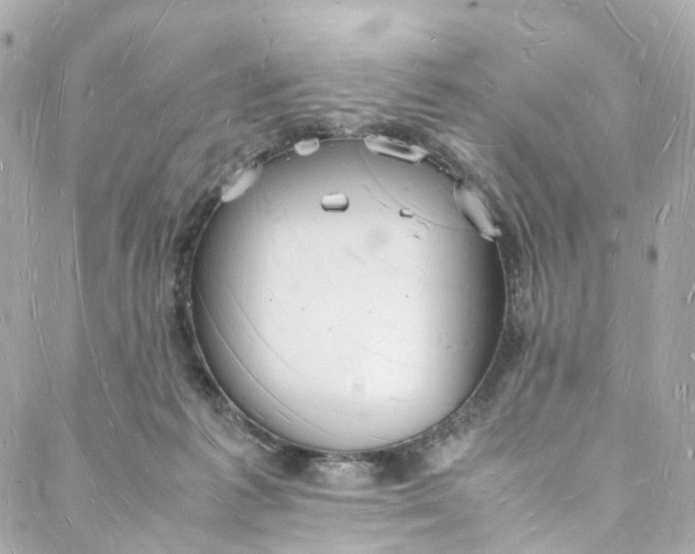 X0000088070221200705251410