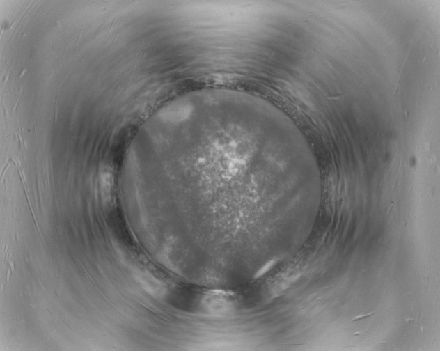 X0000088070222200705251410