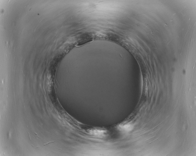 X0000088070223200705251410