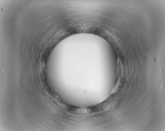 X0000088070225200705251410