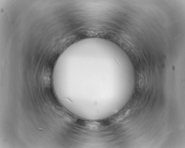 X0000088070226200705251410