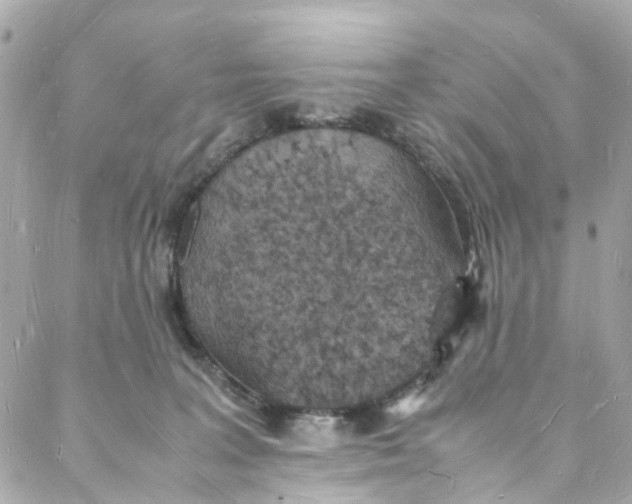 X0000088070227200705251410