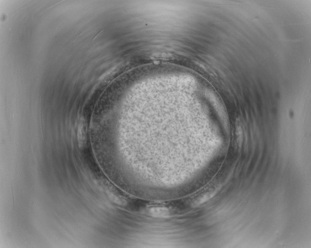 X0000088070228200705251410