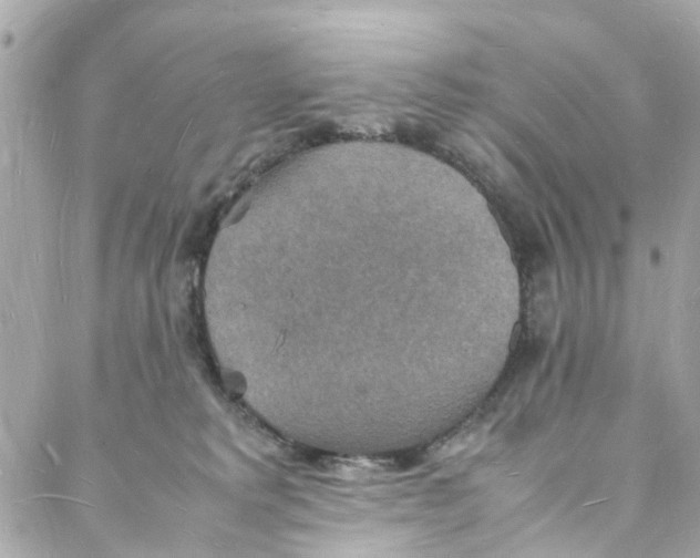 X0000088070229200705251410