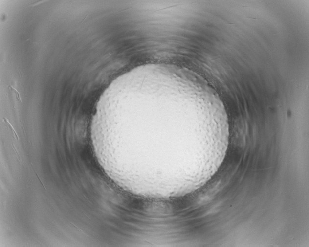 X0000088070230200705251410