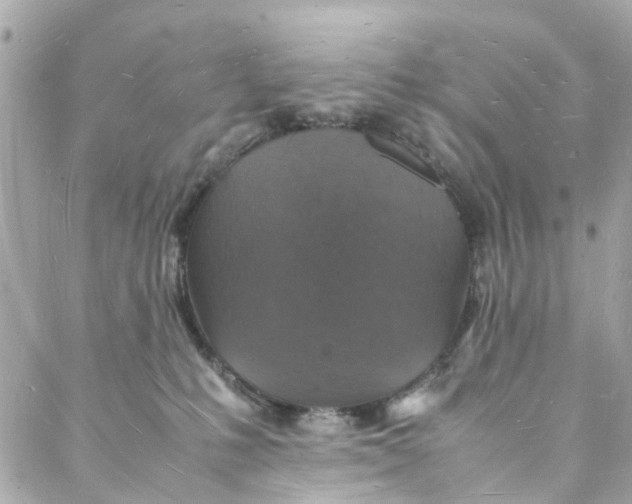 X0000088070231200705251410