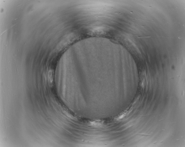 X0000088070232200705251410