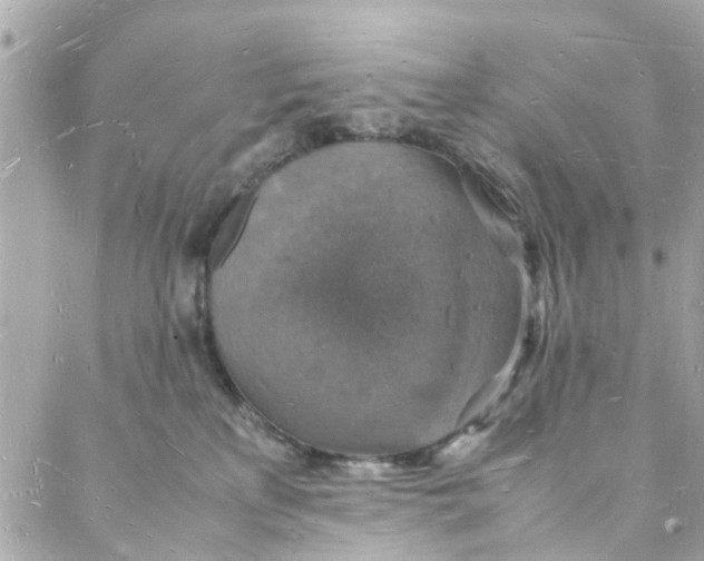 X0000088070233200705251410