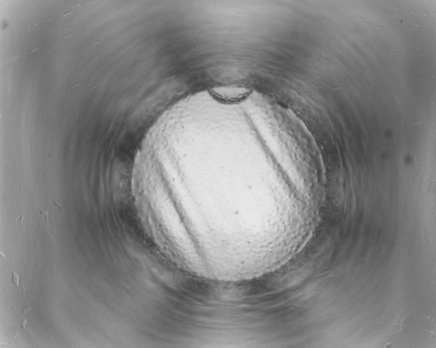 X0000088070234200705251410