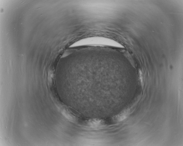 X0000088070235200705251410