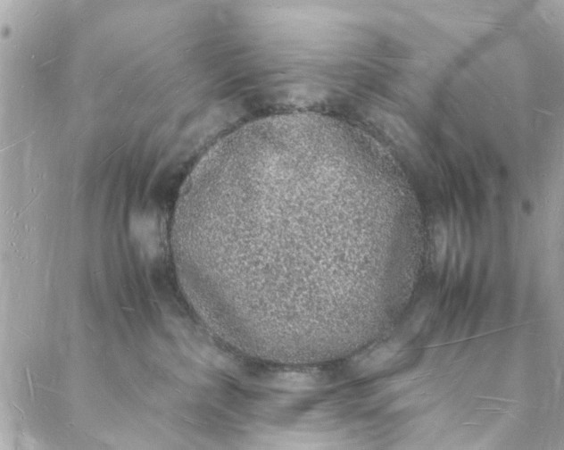 X0000088070236200705251410