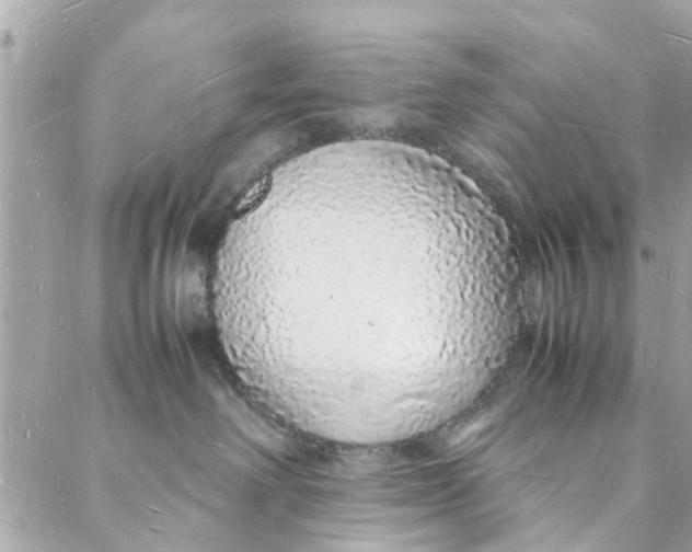 X0000088070238200705251410