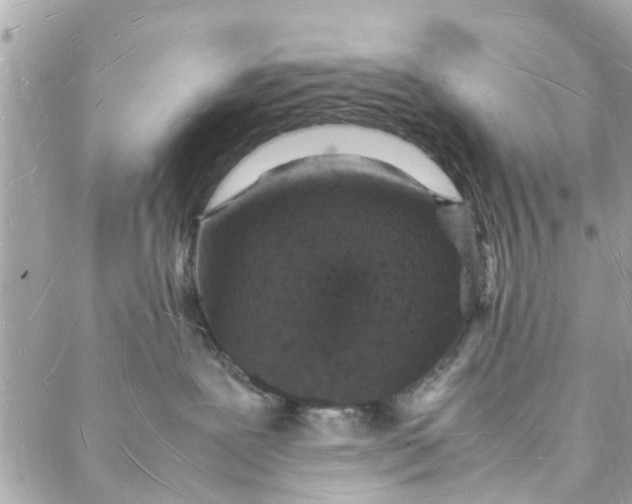 X0000088070239200705251410