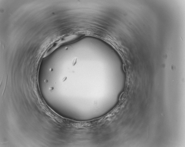 X0000088070241200705251409