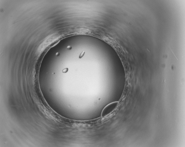 X0000088070242200705251409