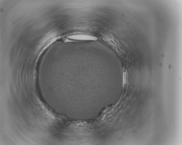 X0000088070243200705251409