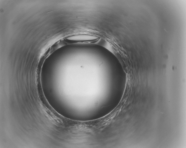 X0000088070244200705251409