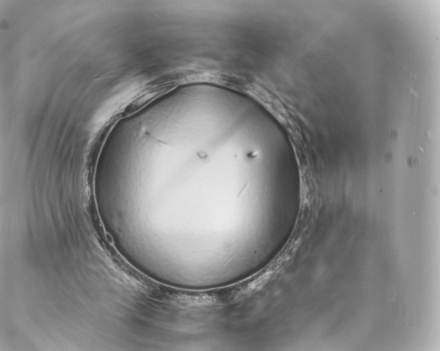 X0000088070245200705251409