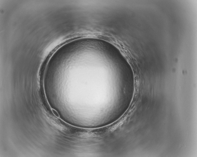 X0000088070246200705251409