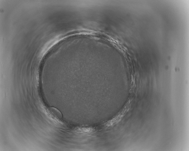 X0000088070247200705251409