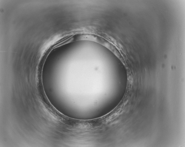 X0000088070248200705251409