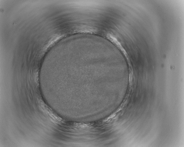 X0000088070249200705251409