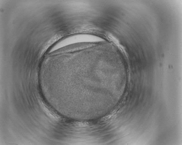 X0000088070250200705251409