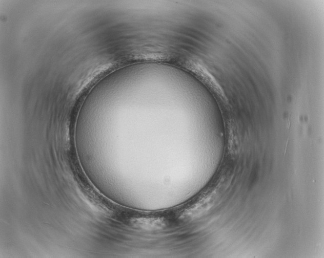 X0000088070251200705251409