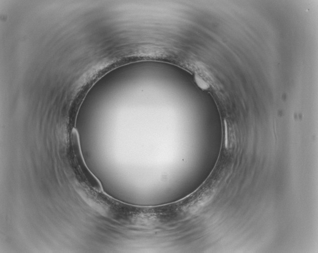 X0000088070252200705251409