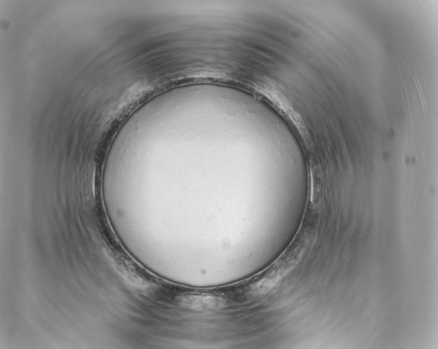 X0000088070253200705251409