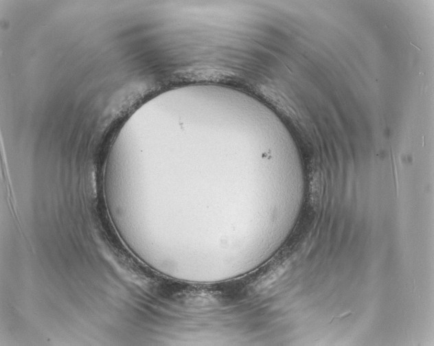 X0000088070254200705251409