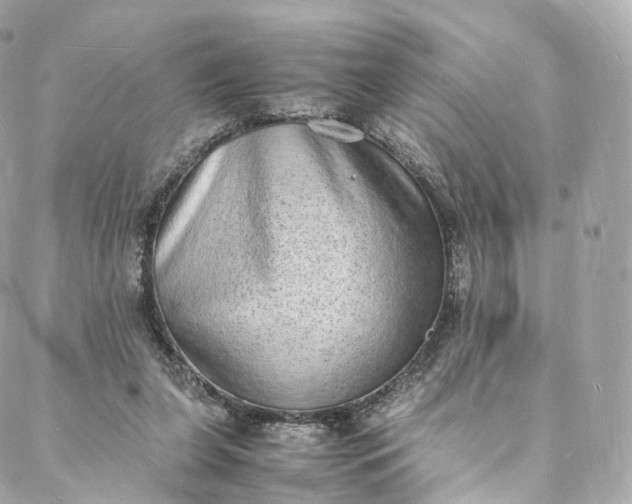 X0000088070255200705251409