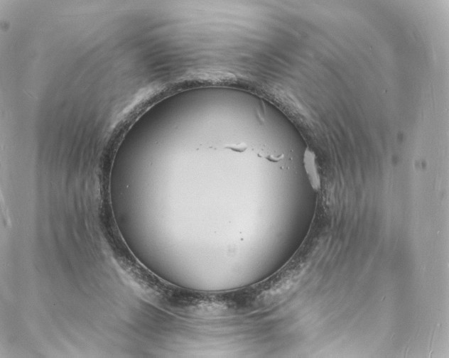 X0000088070256200705251409