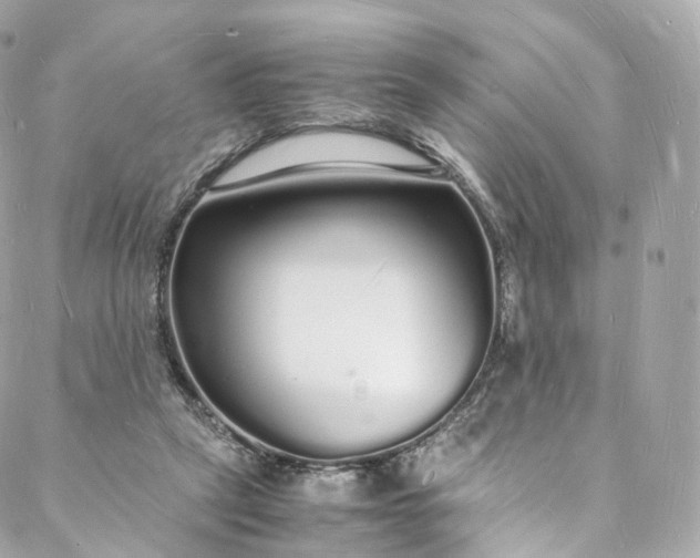 X0000088070257200705251409