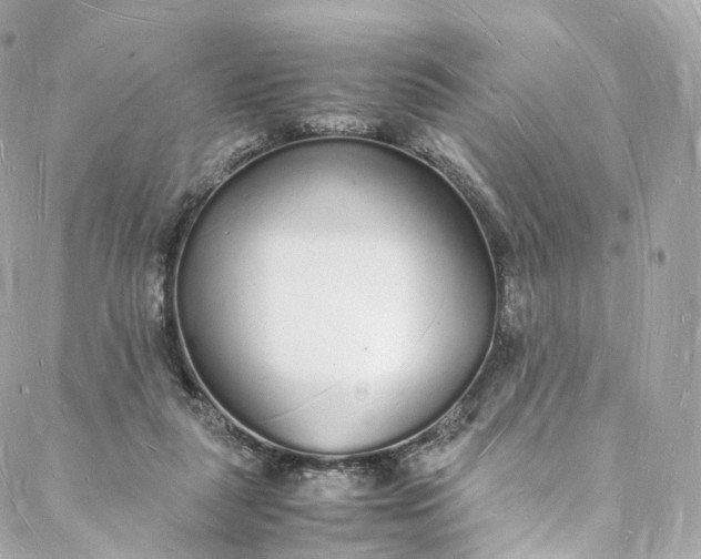 X0000088070259200705251409