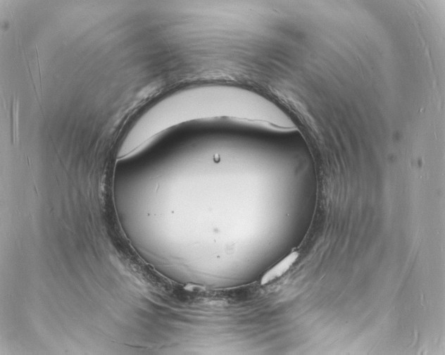 X0000088070260200705251409