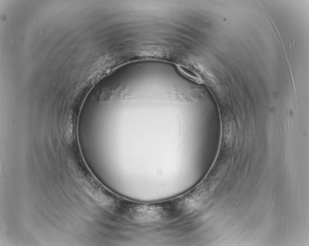 X0000088070261200705251409