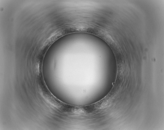 X0000088070262200705251409