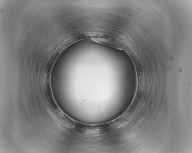 X0000088070263200705251409