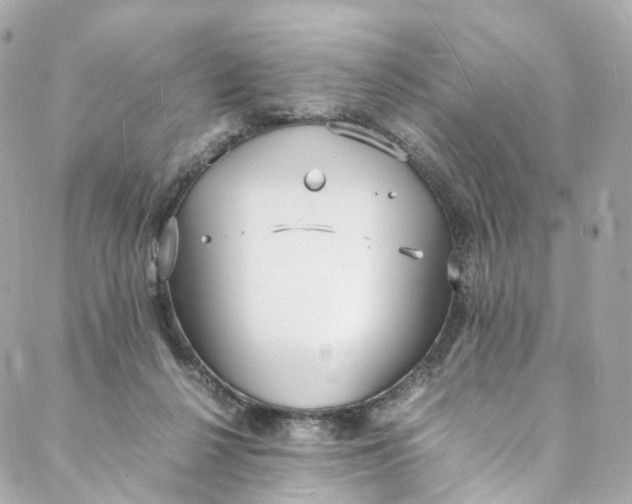 X0000088070264200705251409