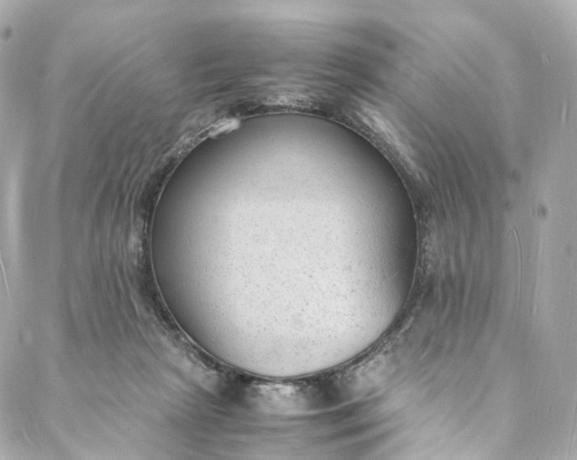 X0000088070265200705251409