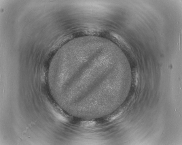 X0000088070266200705251409