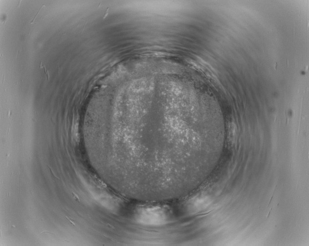 X0000088070267200705251409