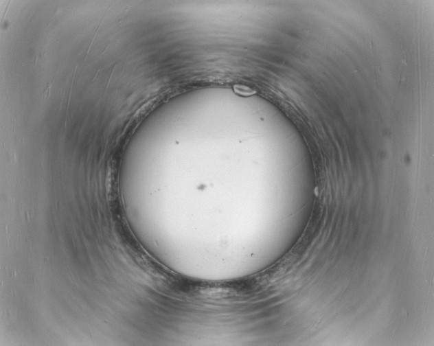 X0000088070268200705251409