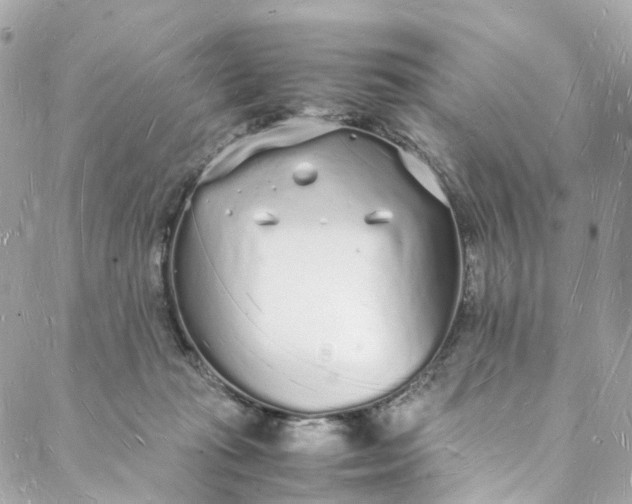 X0000088070269200705251409