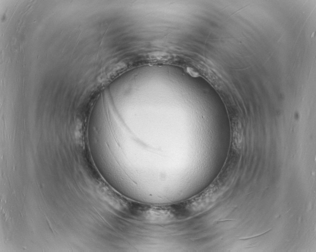 X0000088070270200705251410