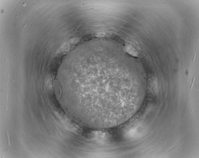 X0000088070272200705251410